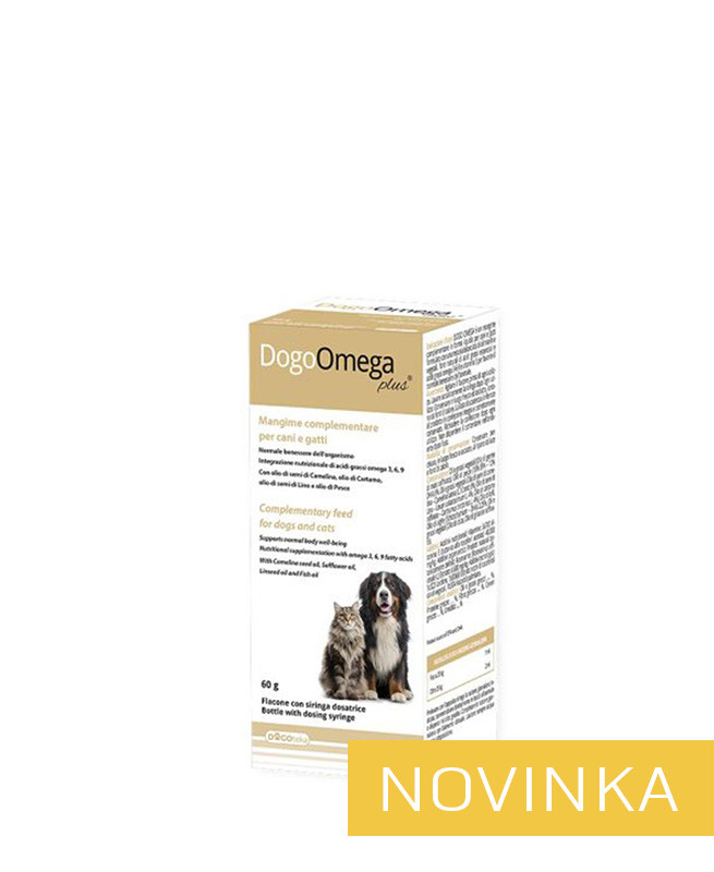 1772048345DogoOmega Plus_N.jpg